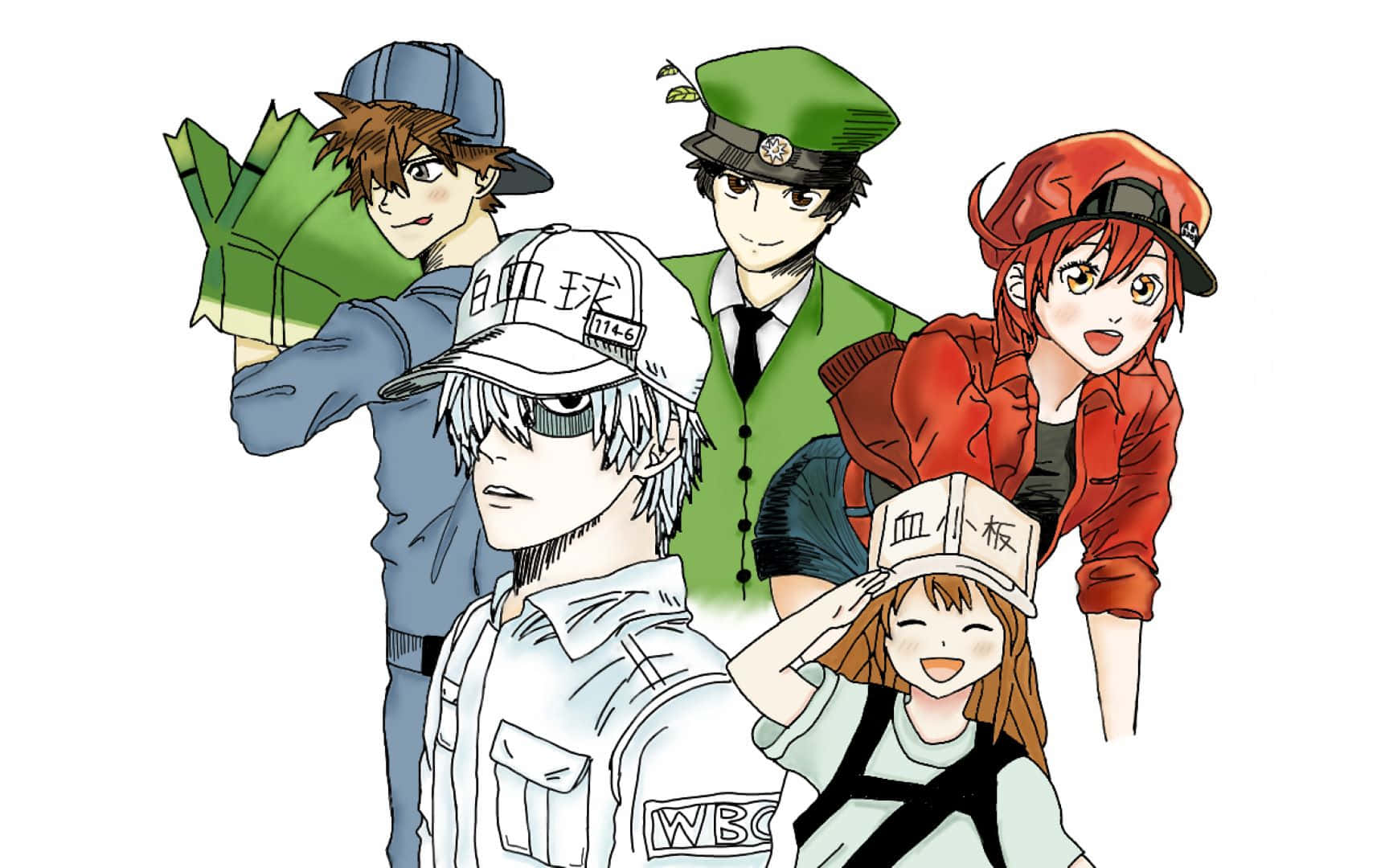 Cells At Work Characters Illustration Wallpaper