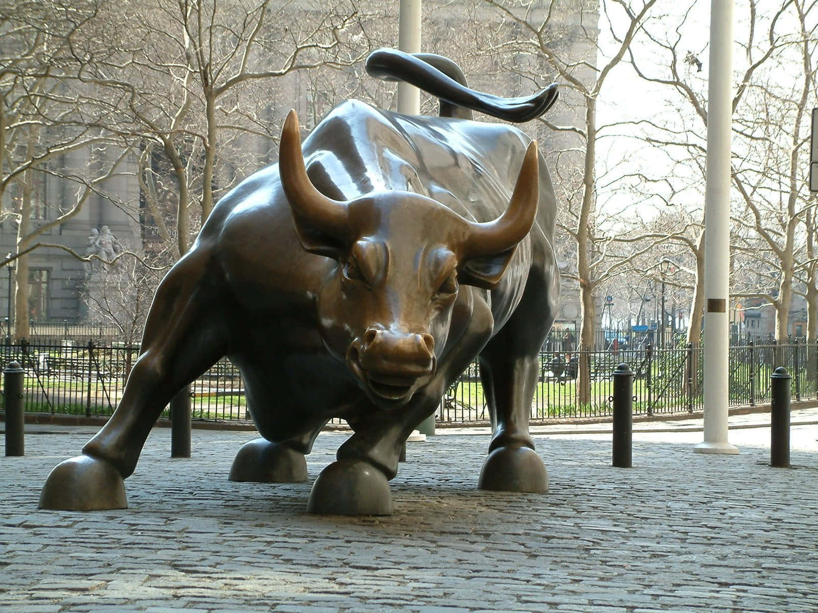 Charging Bull Statue Financial Symbol Wallpaper