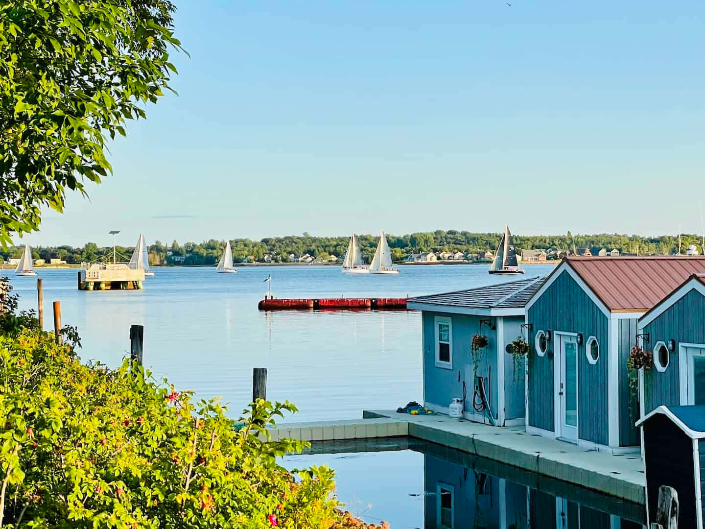 Charlottetown Waterfront Sailing Boats Wallpaper