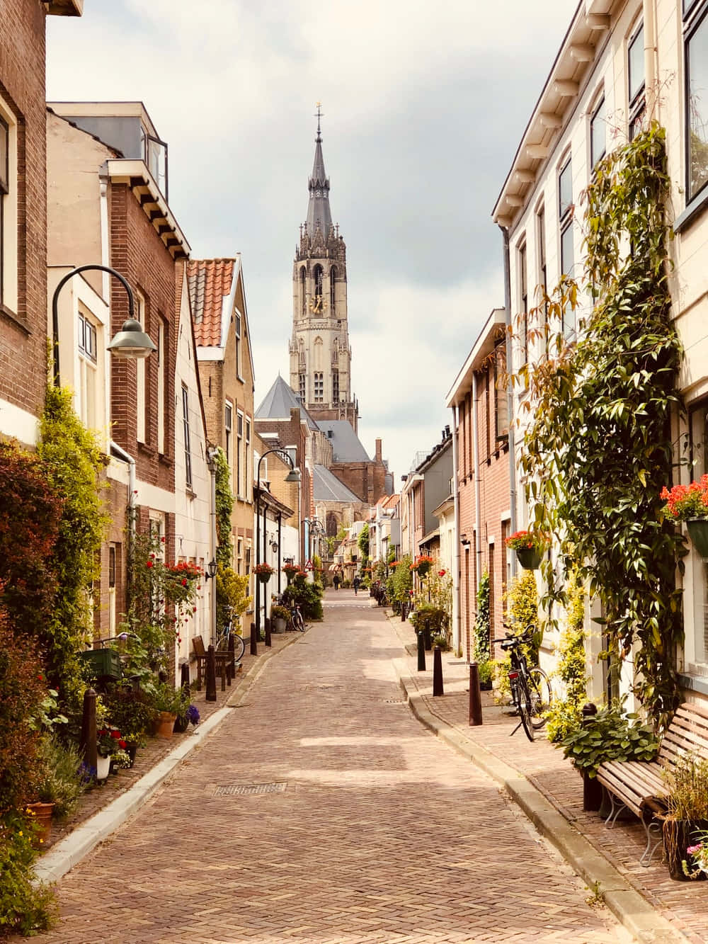 Charming Delft Street Netherlands Wallpaper