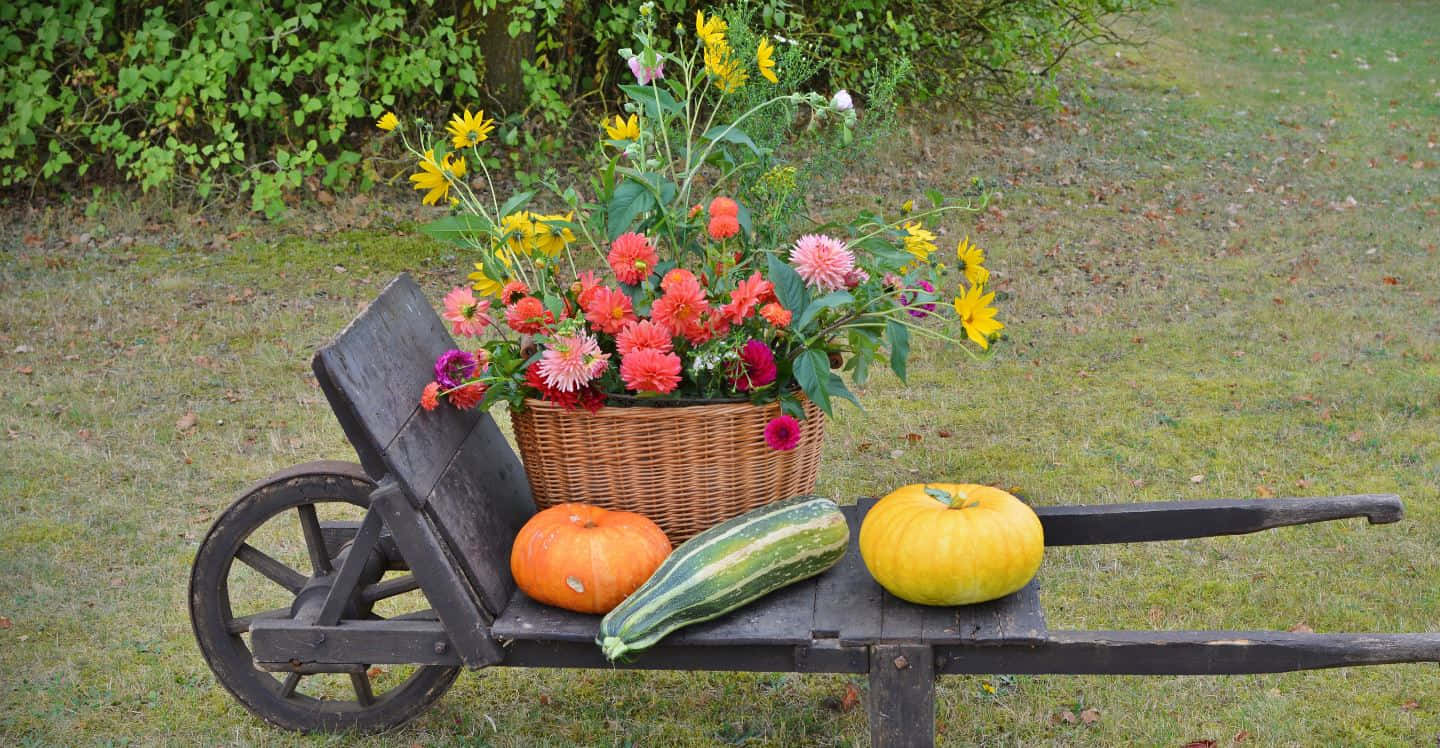 Charming Flower Cart In A Blossoming Garden Wallpaper