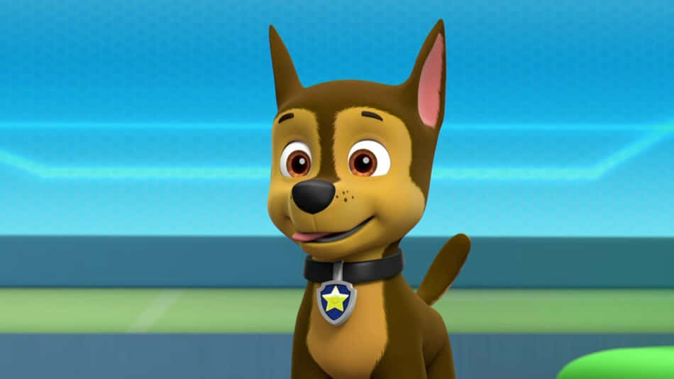 Chase Paw Patrol German Shepherd Dog Wallpaper