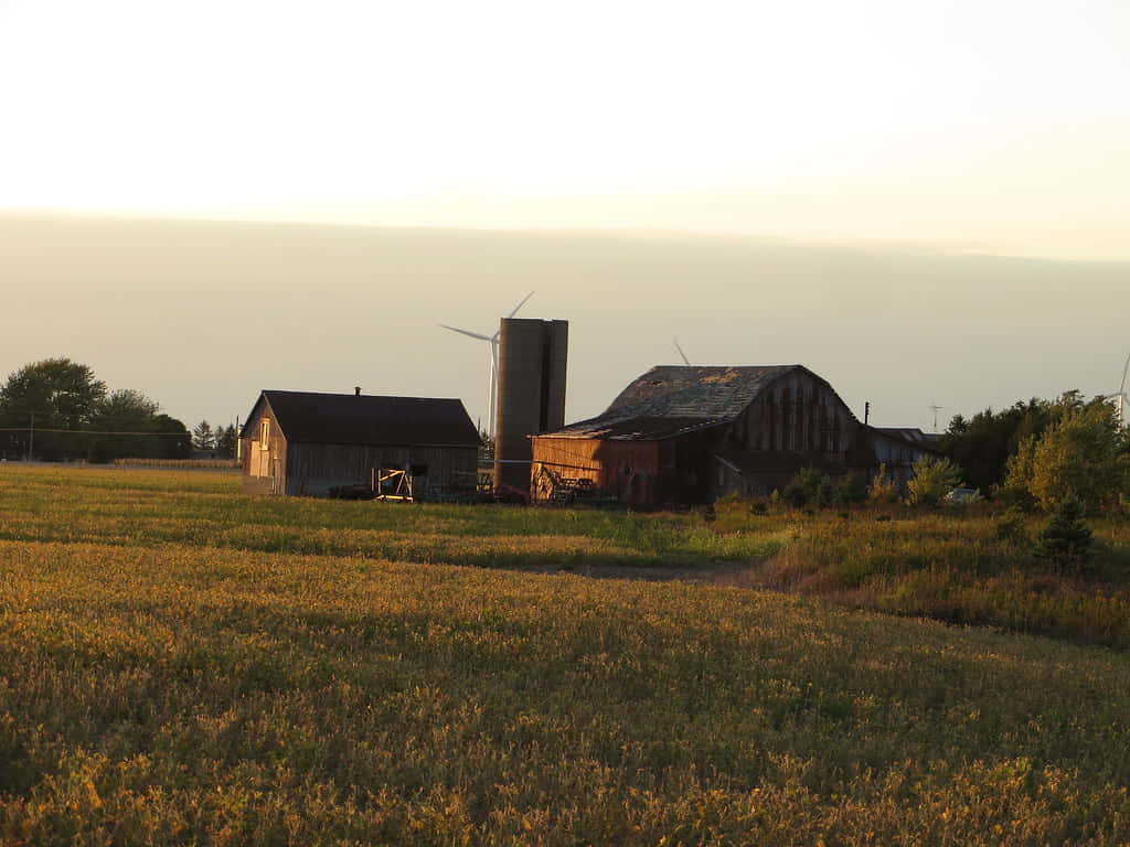 Chatham Kent Farm At Sunset Wallpaper