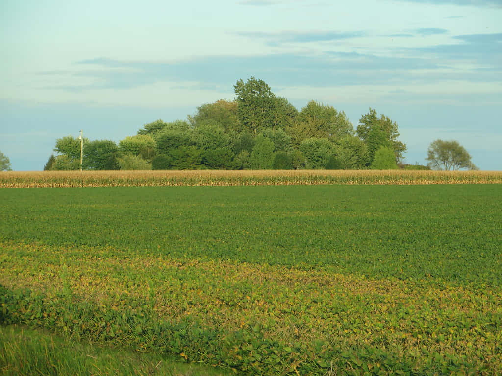 Chatham Kent Farmlandat Dusk Wallpaper