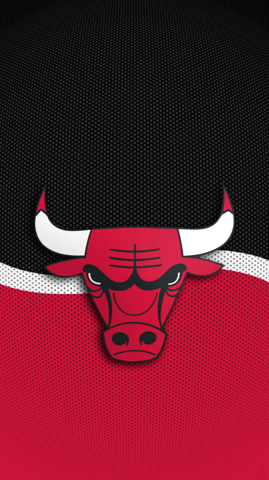 Cheer On The Bulls Anytime, Anywhere Wallpaper