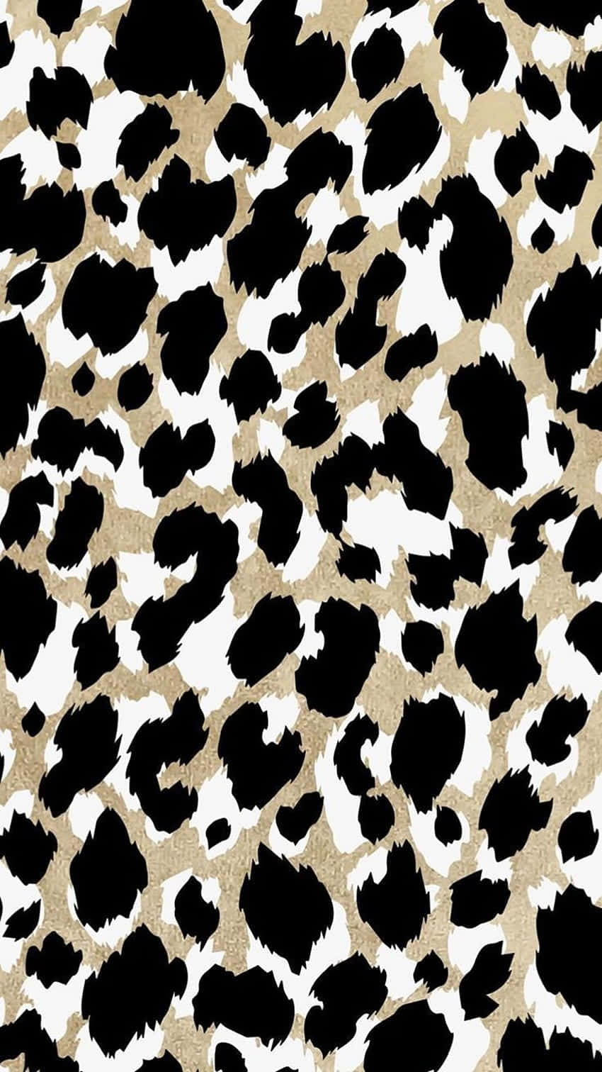 Cheetah_ Print_ Pattern_ Texture.jpg Wallpaper