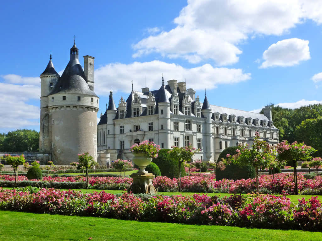 Chenonceau Pink Flowers Wallpaper