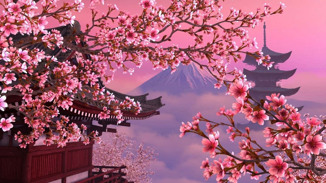 Cherry Blossom Tree Japan Sakura Wallpaper