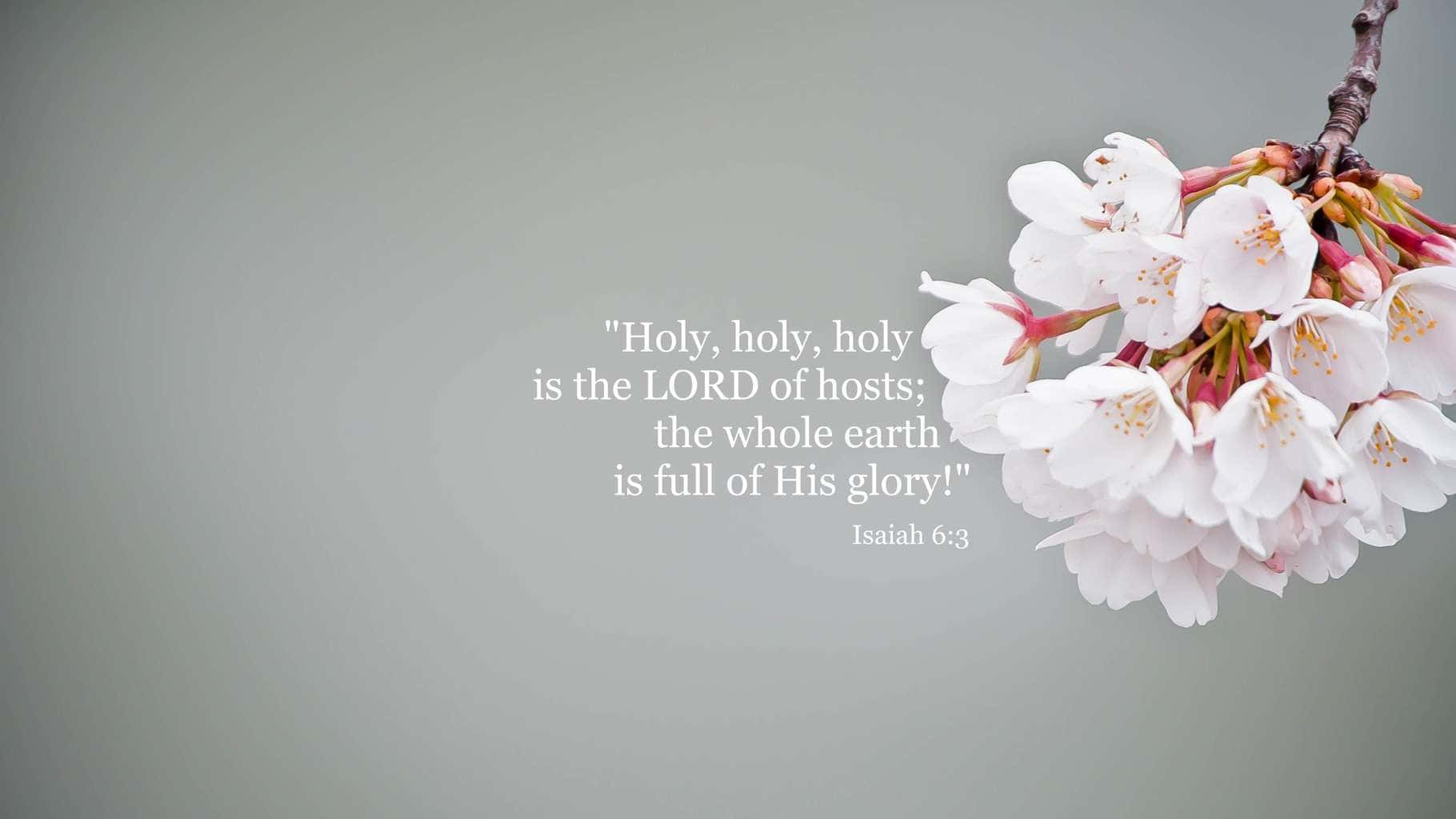 Cherry Blossoms Holy Verse Wallpaper