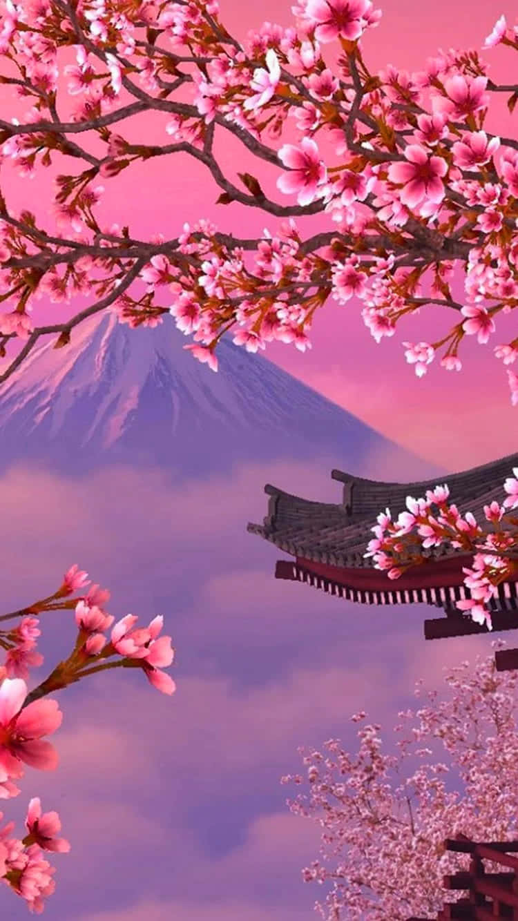 Cherry Blossomsand Mount Fuji Wallpaper