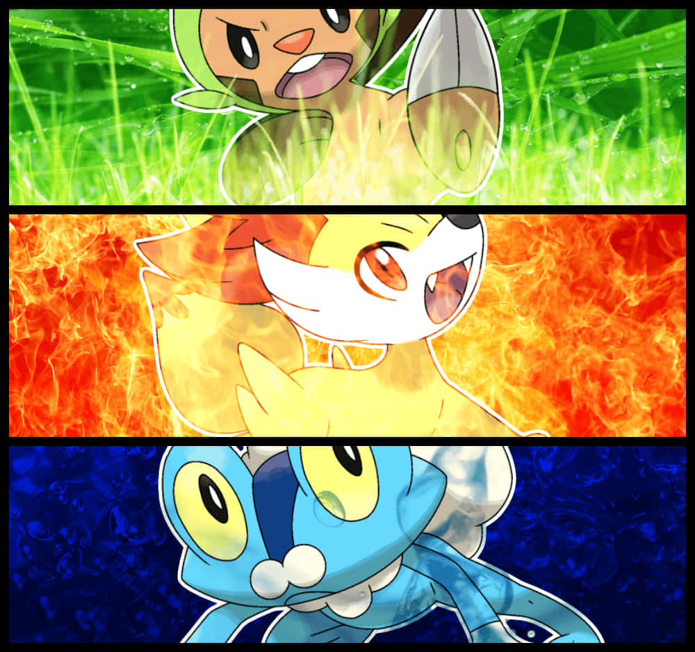 Chespin Froakie Fennekin Collage Wallpaper