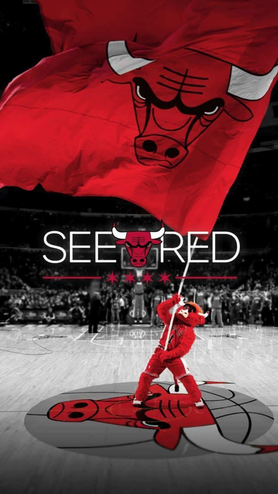 Chicago Bulls Benny The Bull Phone Wallpaper