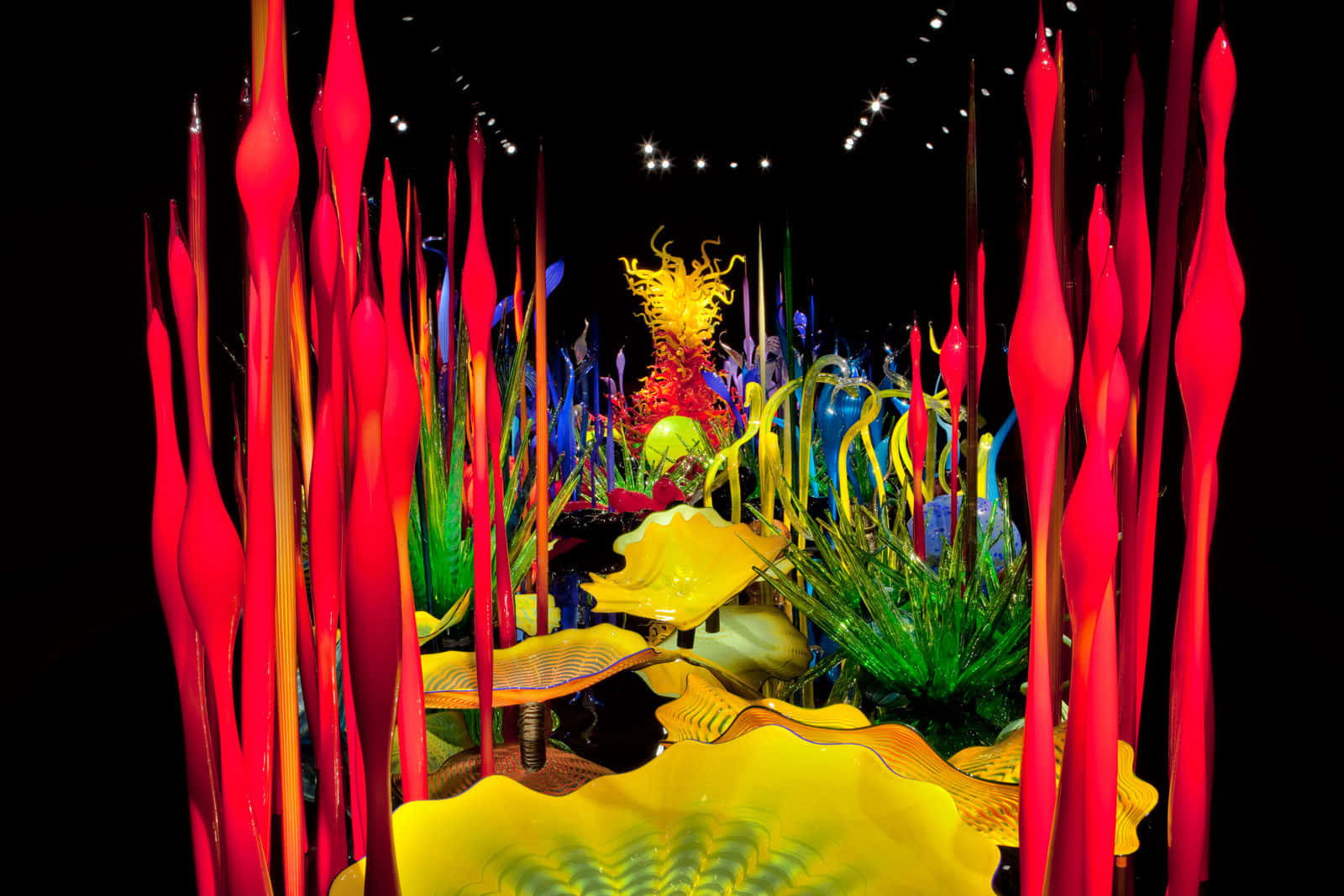 Chihuly Glass Garden Exhibit Wallpaper