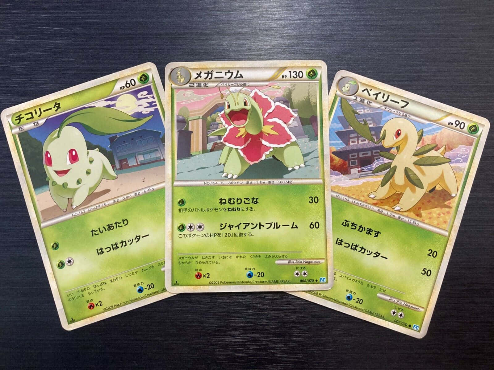 Chikorita Meganium Bayleef Trading Cards Wallpaper