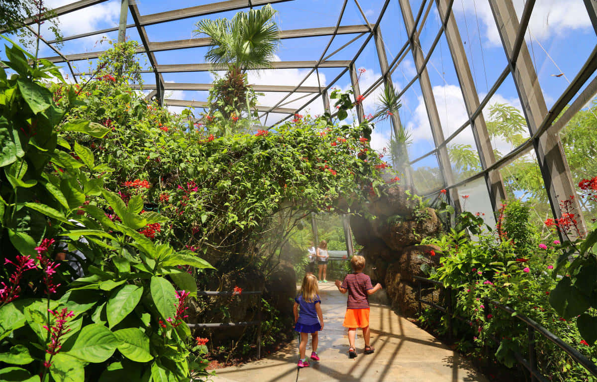 Children Exploring Butterfly Greenhouse Wallpaper