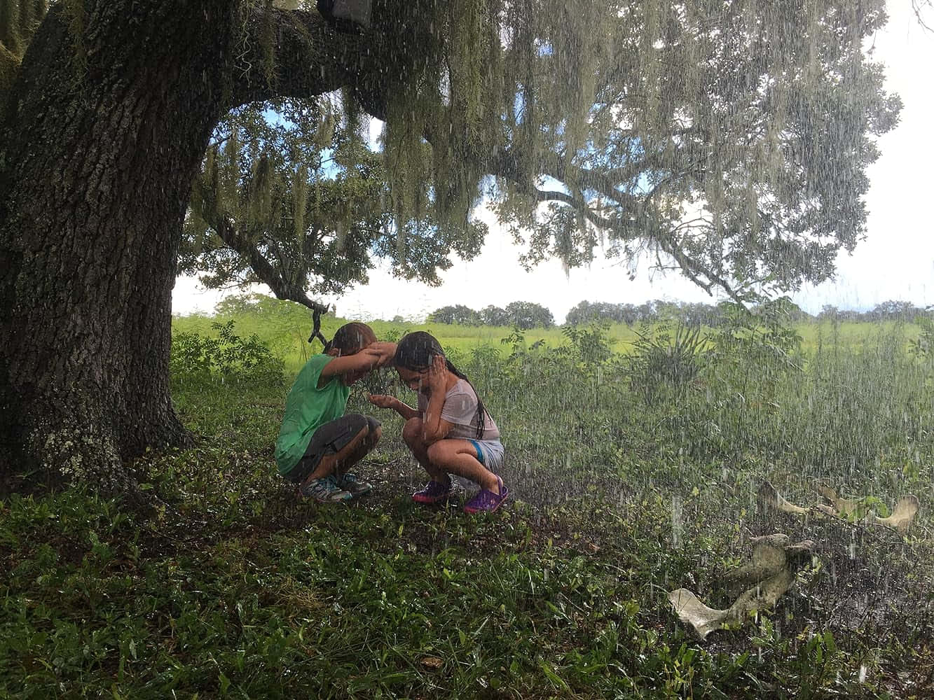 Children Playingin Rain Near Tree Wallpaper