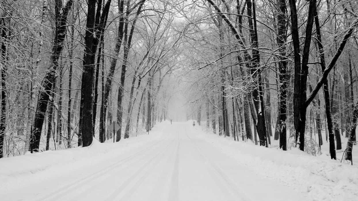 Chilly Winter Adventure On An Icy Road Wallpaper