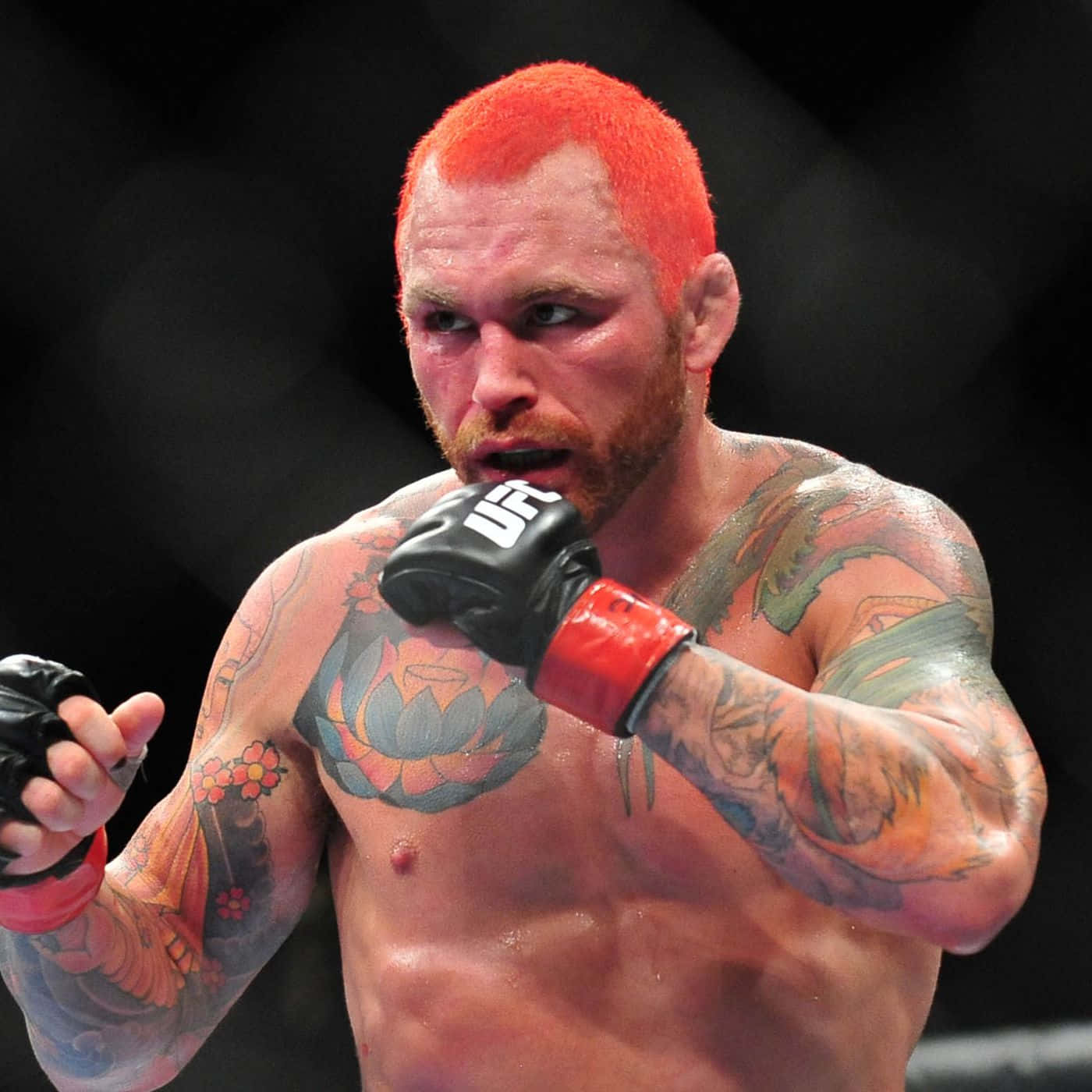 Chris Leben Wearing Black Ufc Gloves Wallpaper