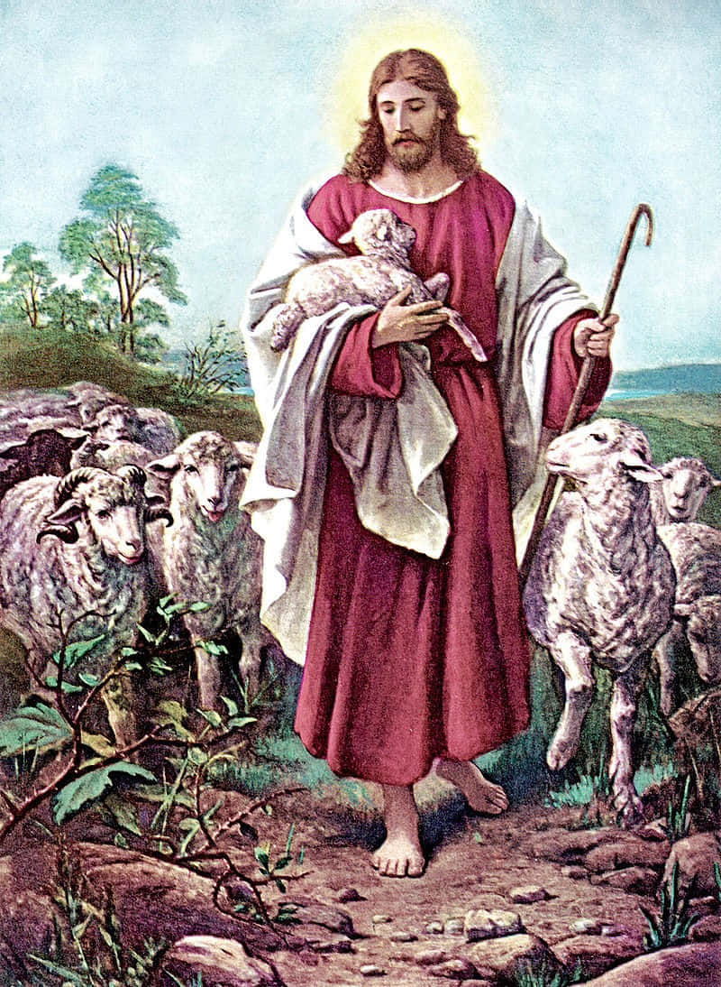 Christ The Good Shepherd Tending To His Sheep Wallpaper