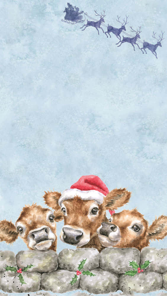 Christmas Cowswith Santa Hatand Sleigh Wallpaper