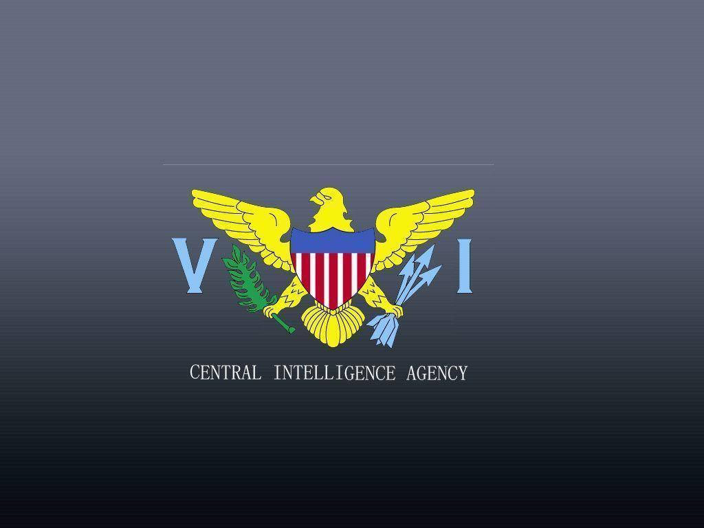 Cia Logo Yellow Eagle Wallpaper