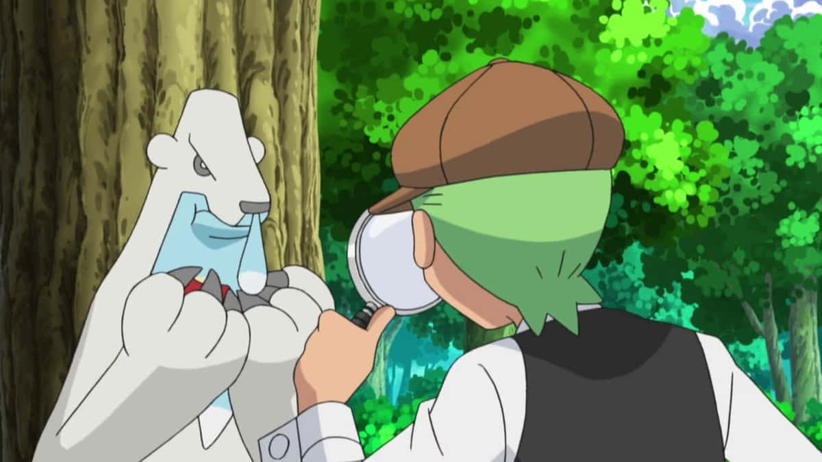 Cilan With Wild Pokémon Beartic Wallpaper