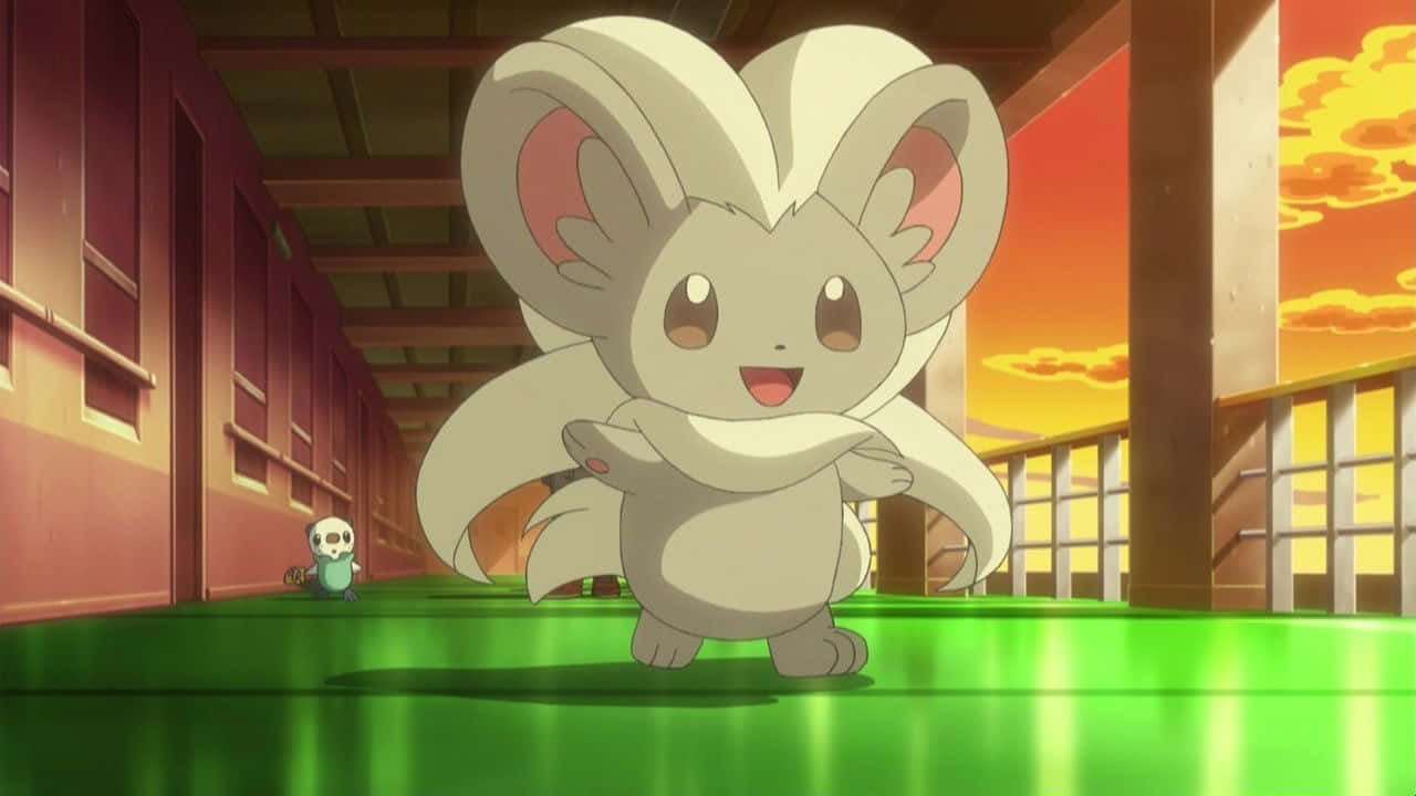 Cinccino In Anime With Oshawott Wallpaper