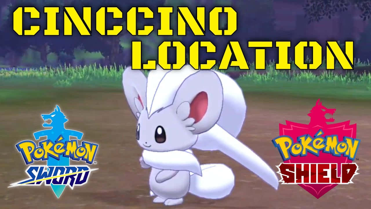 Cinccino Location In Video Game Wallpaper