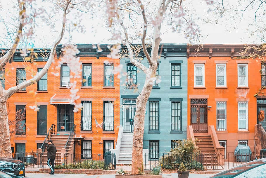 Classic Brownstone Facade Wallpaper