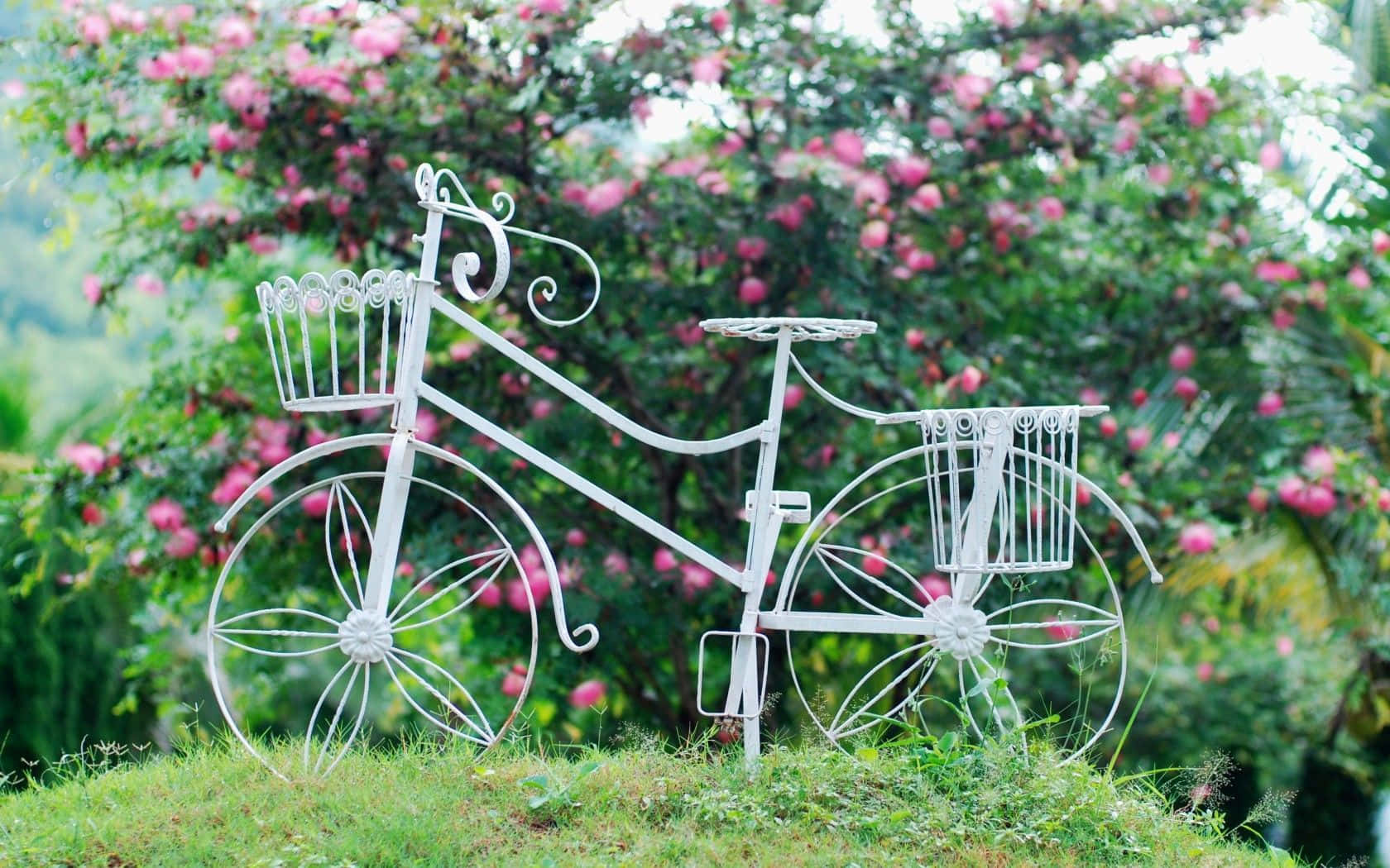 Classic Elegance - Gorgeous Vintage Bicycle Wallpaper