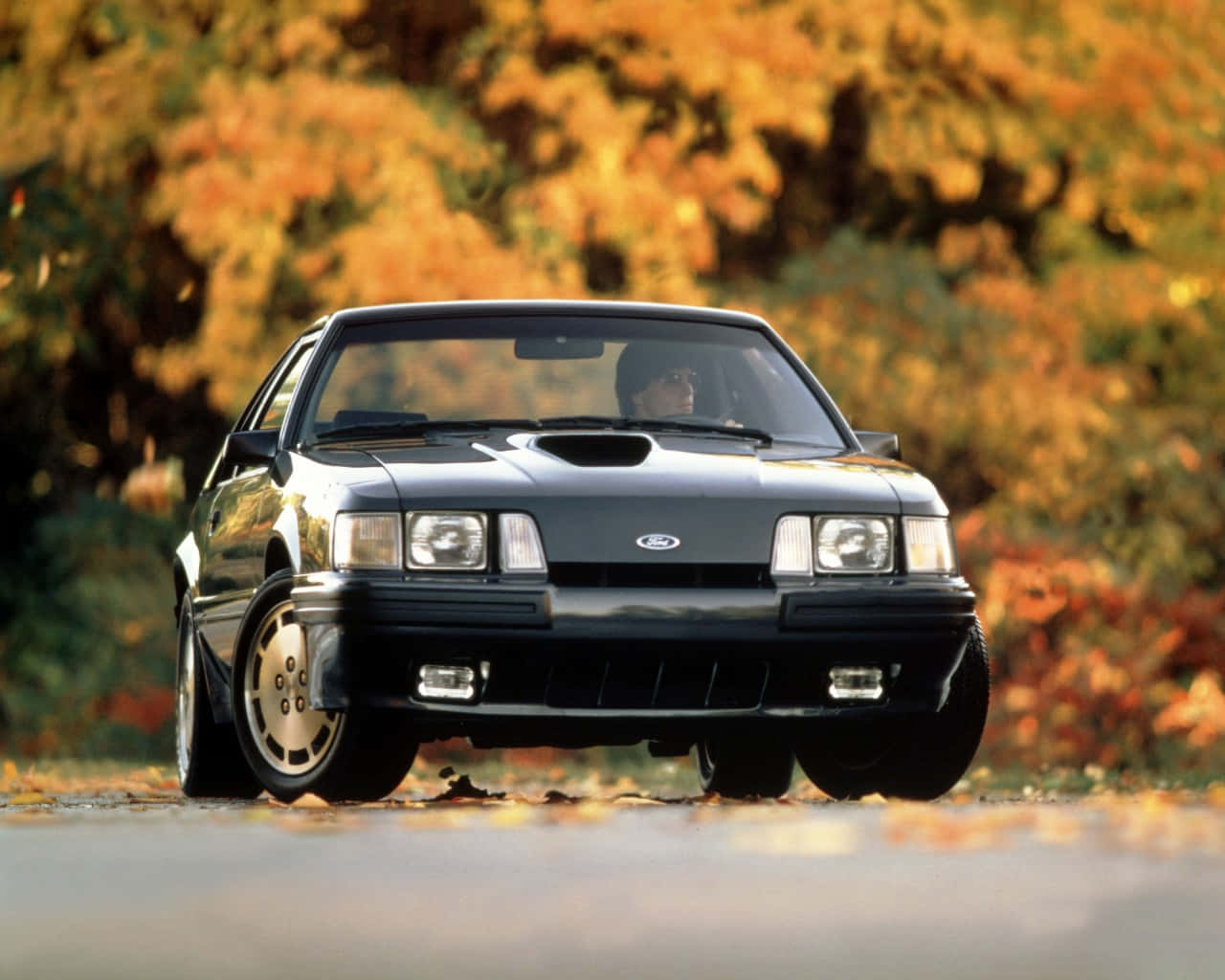 Classic Ford Mustang S V O Autumn Backdrop Wallpaper