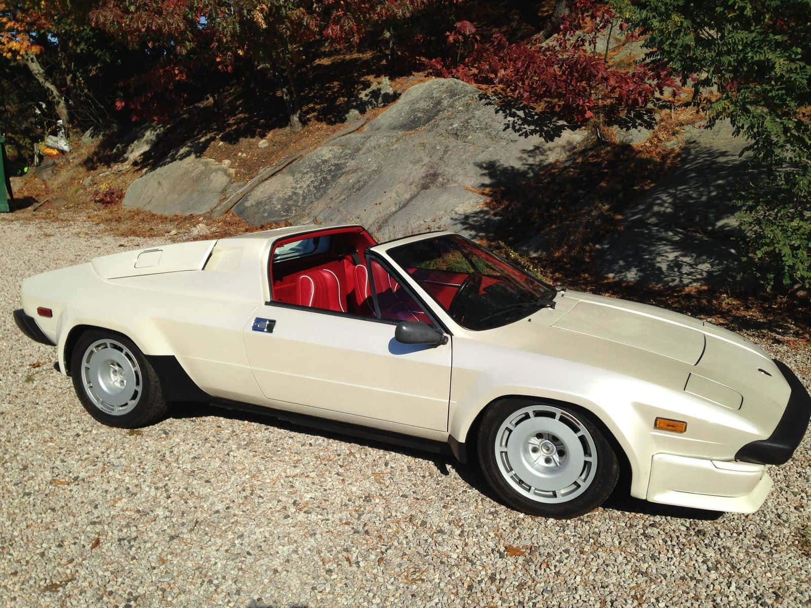 Classic Majestic Lamborghini Jalpa Wallpaper