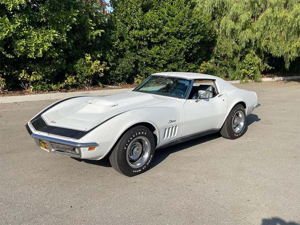 Classic White Chevrolet Corvette Stingray Parked Wallpaper