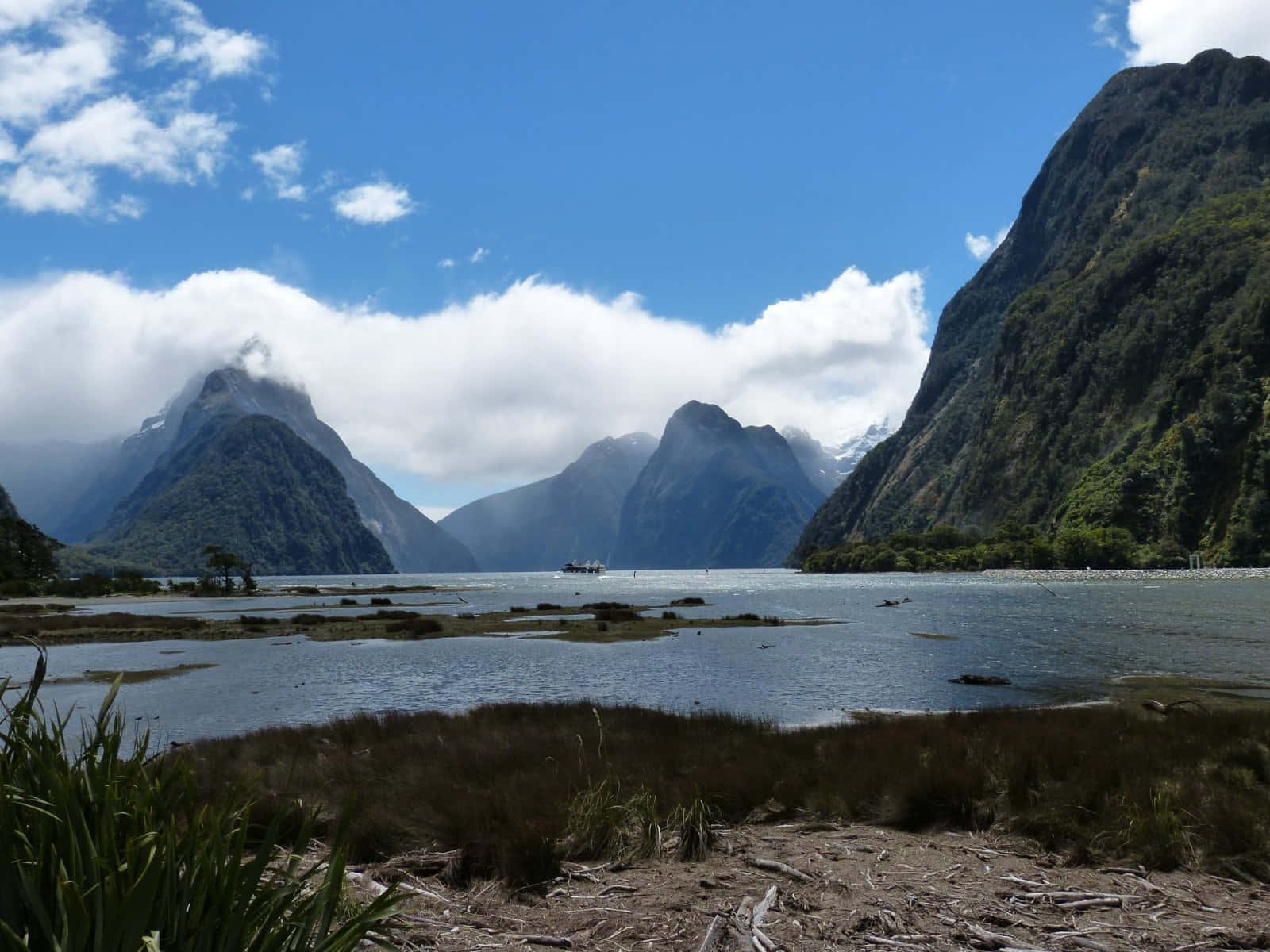 Clear Blue Sky Milford Sound Wallpaper