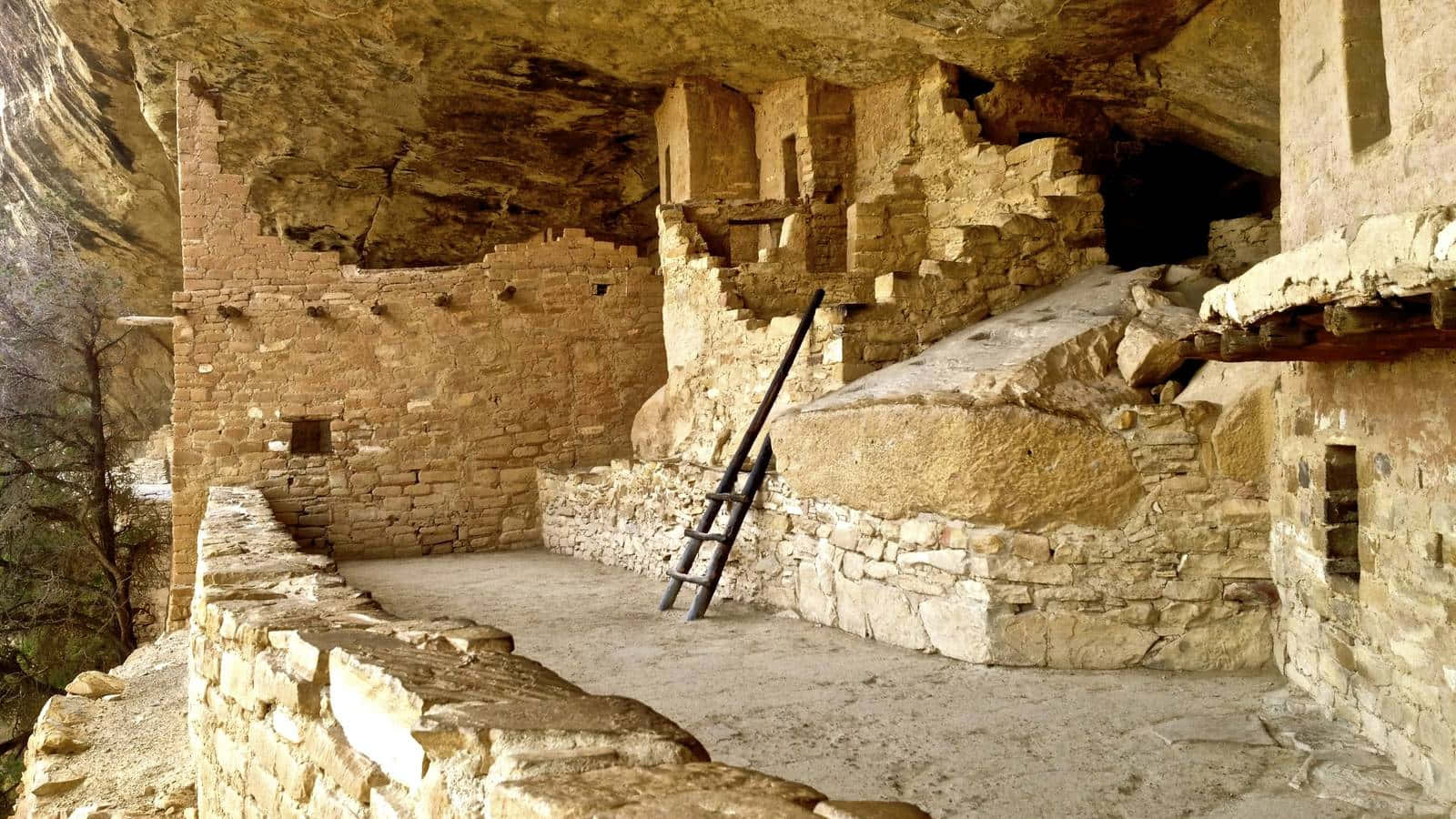 Cliff Palace Ladder Mesa Verde National Park Wallpaper