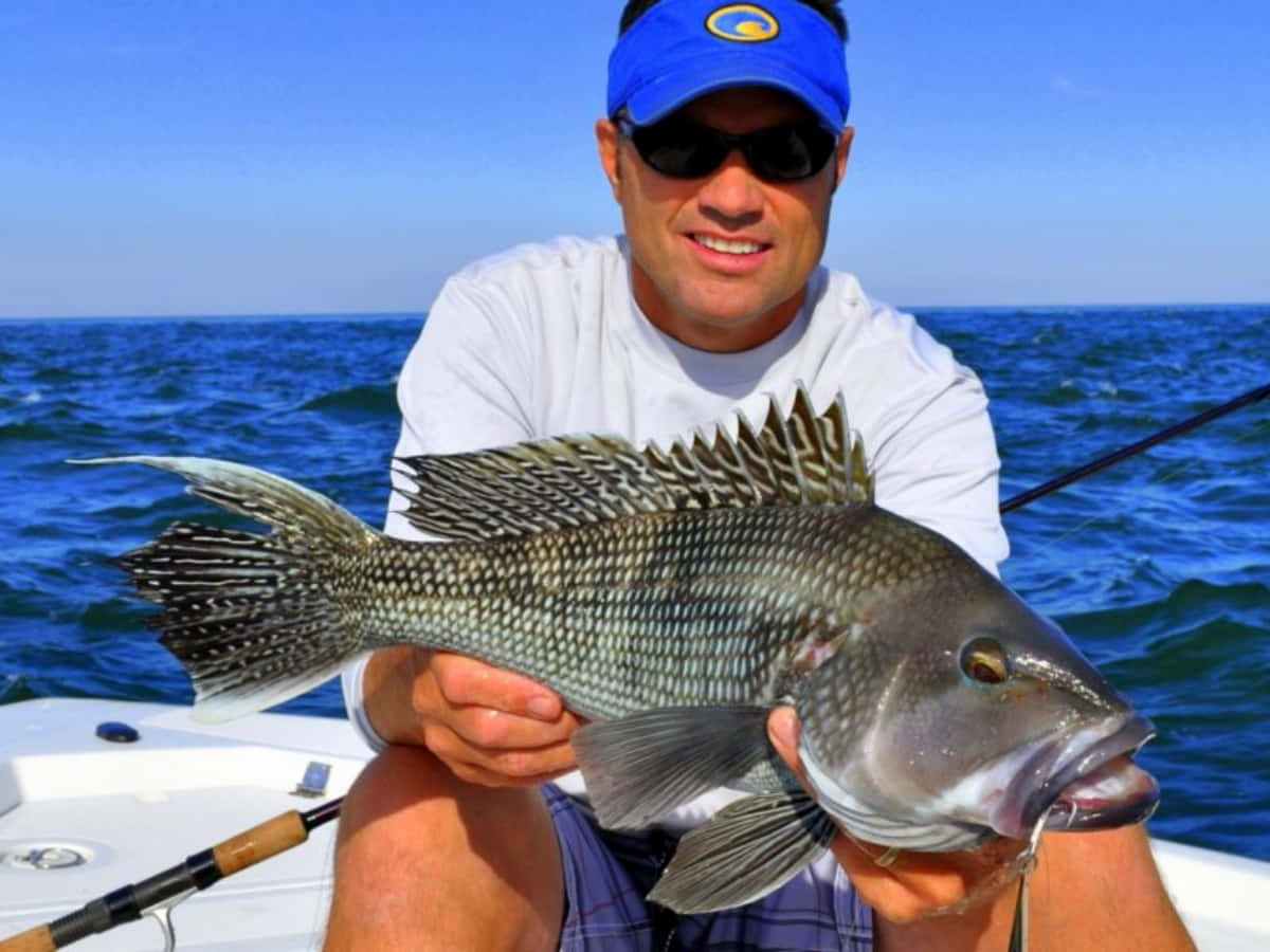 Close-up Of A Black Sea Bass Wallpaper