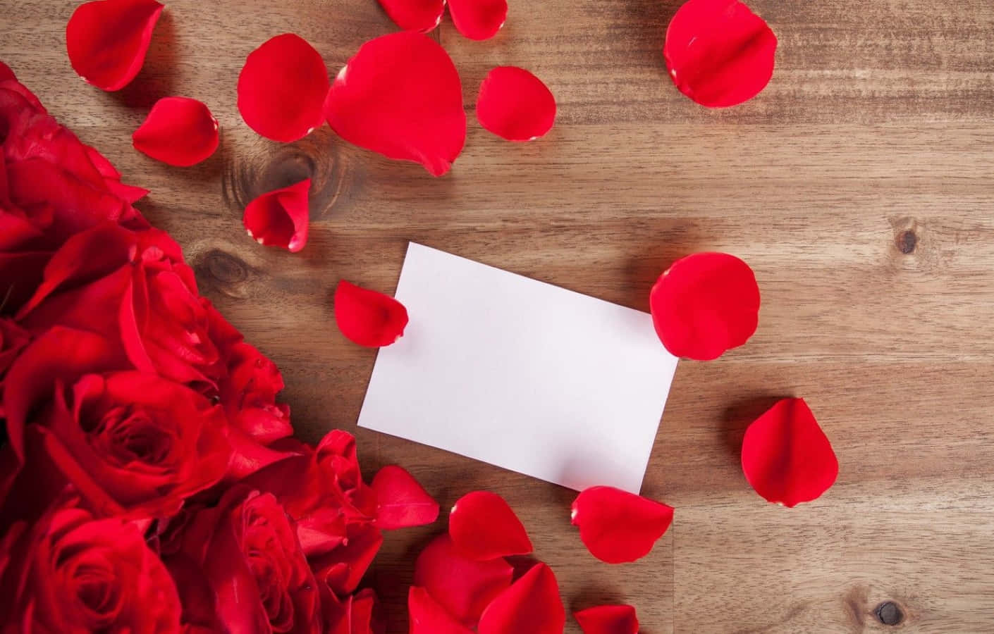 Close-up Of Vibrant Rose Petal Wallpaper