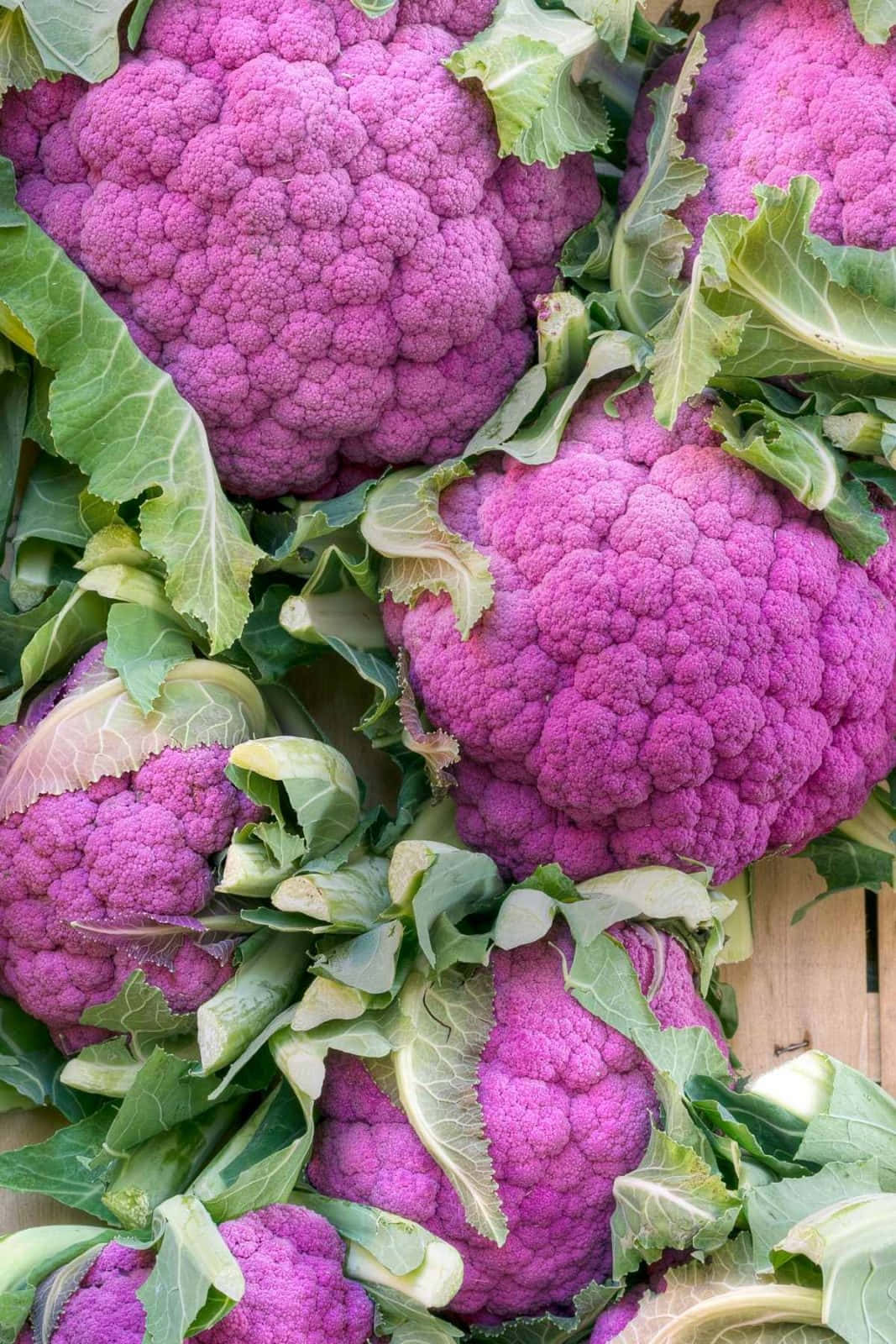 Close-up Shot Of A Purple Cauliflower Wallpaper