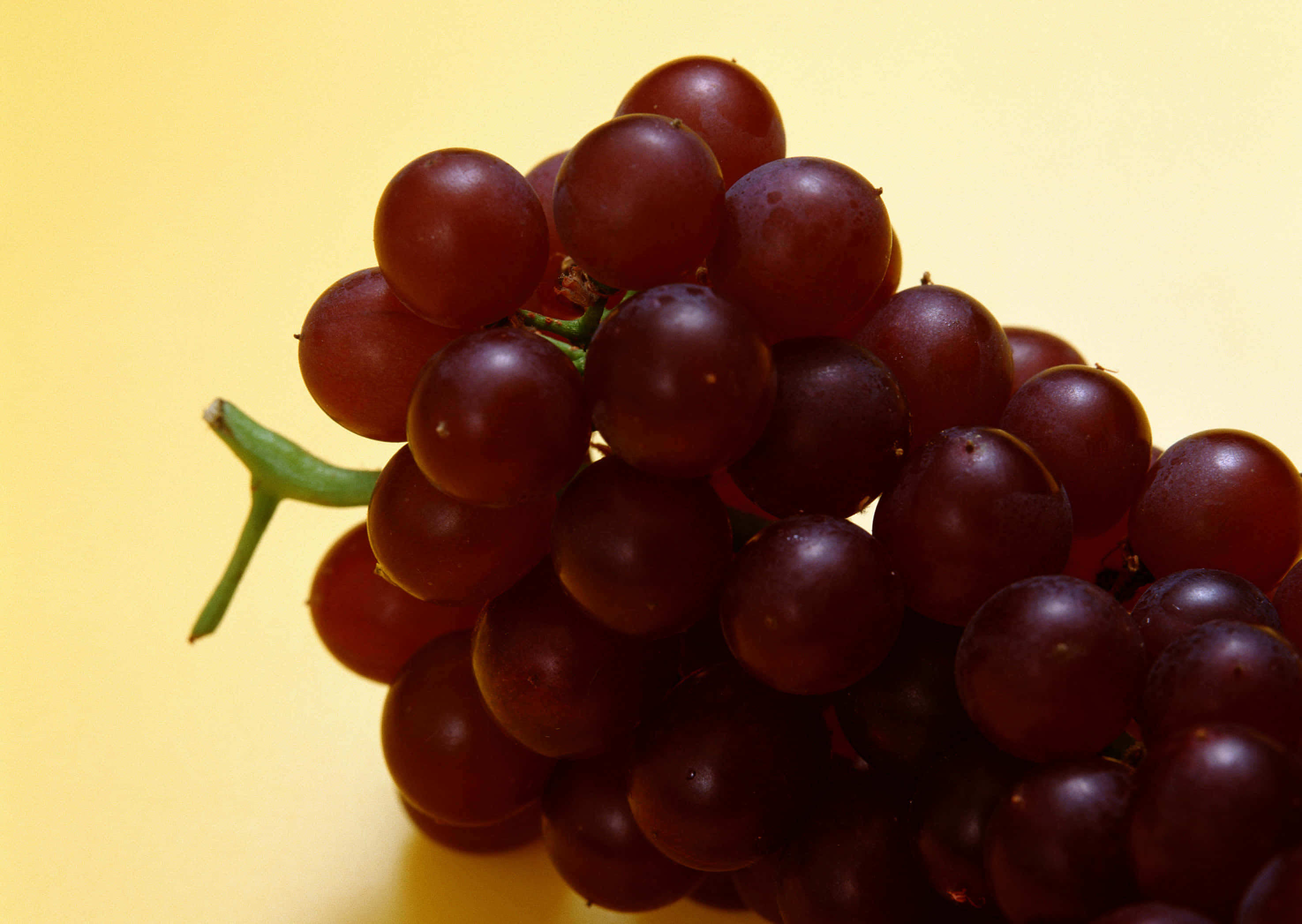 Close Up Shot Of Purple Grapes Wallpaper