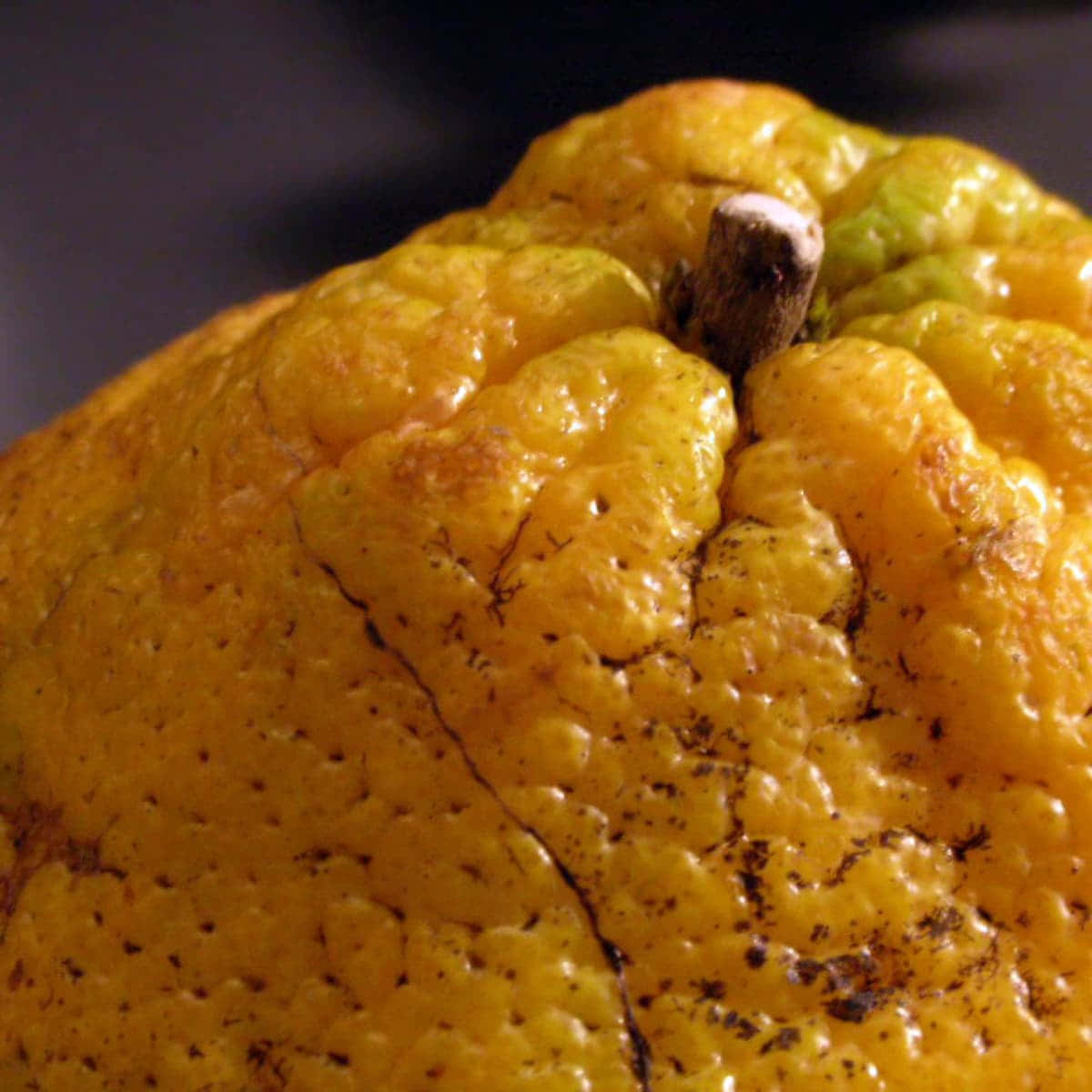 Close-up View Of Fresh Ugli Fruit Wallpaper