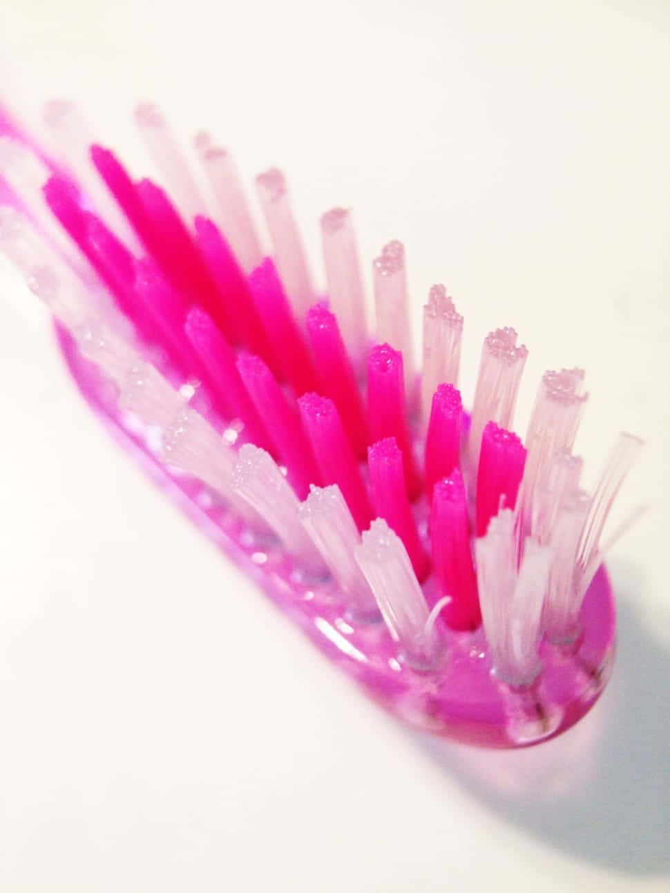 Closeup Pink Toothbrush Bristles Wallpaper