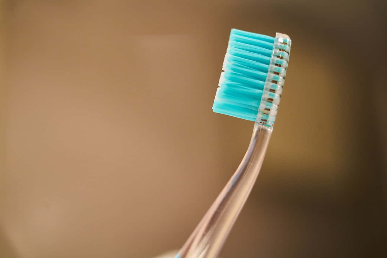 Closeup Transparent Toothbrush Wallpaper