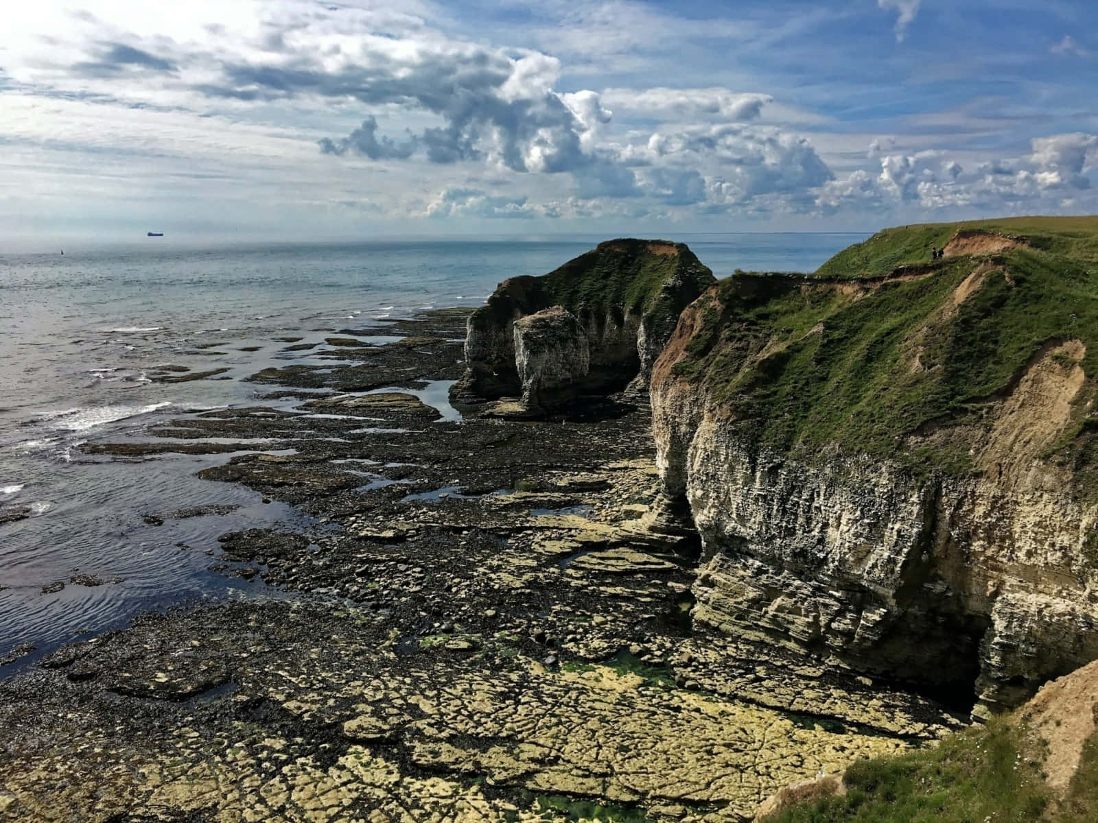 Coastal_ Cliffs_and_ Tidal_ Platforms Wallpaper