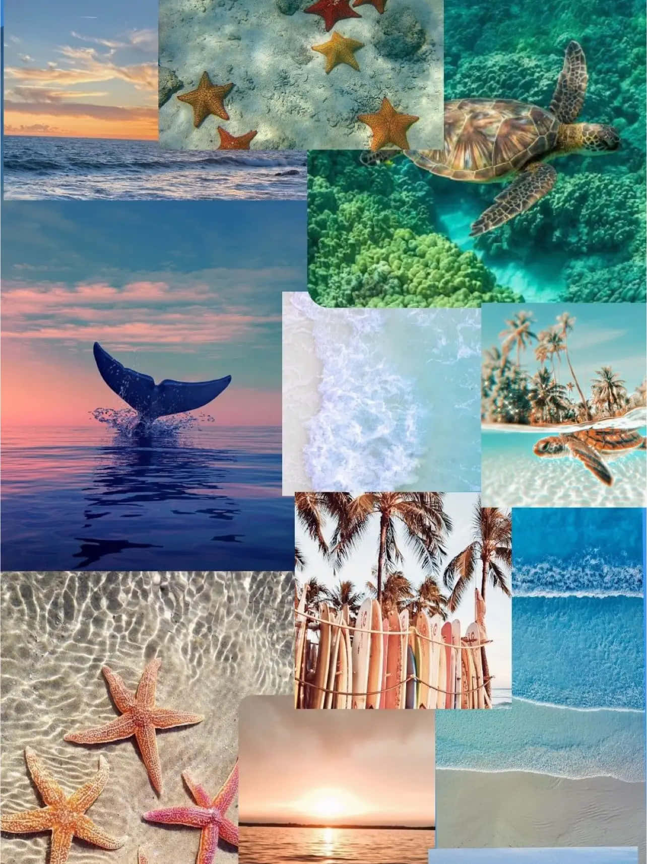 Coastal Collage Aesthetic Wallpaper