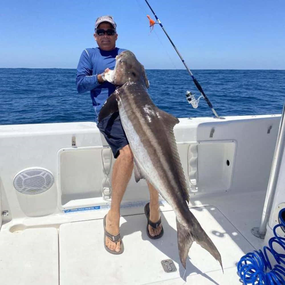 Cobia Fish In The Deep Blue Sea. Wallpaper