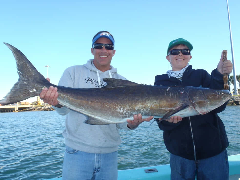 Cobia Fish In The Open Water Wallpaper