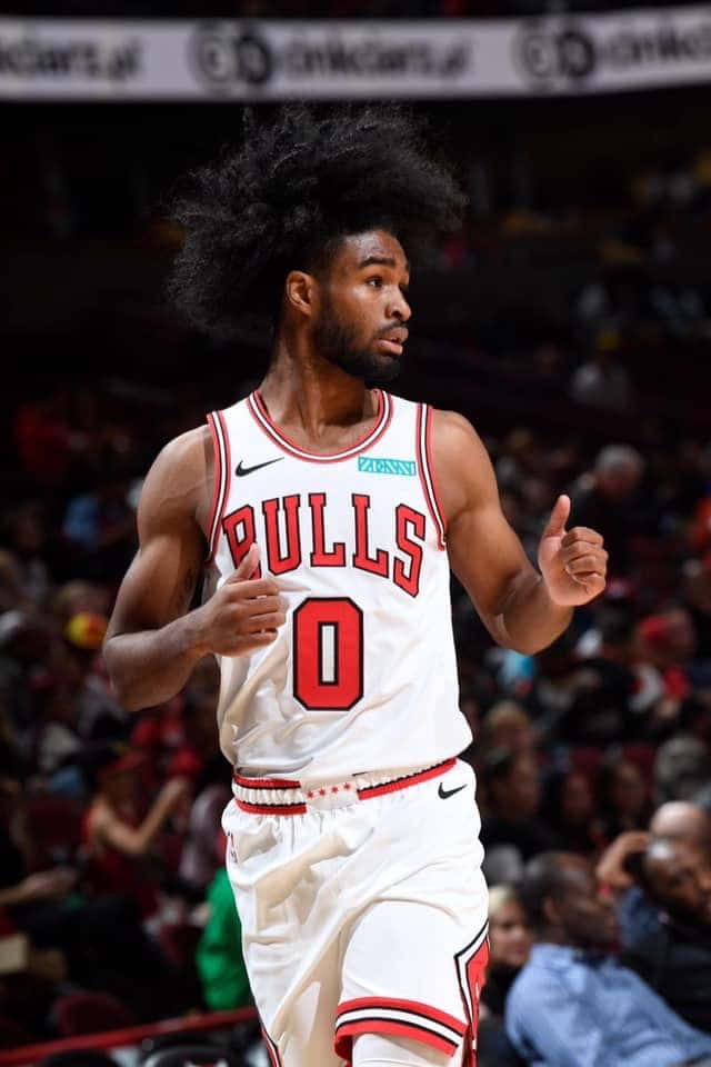 Coby White Chicago Bulls Action Shot Wallpaper