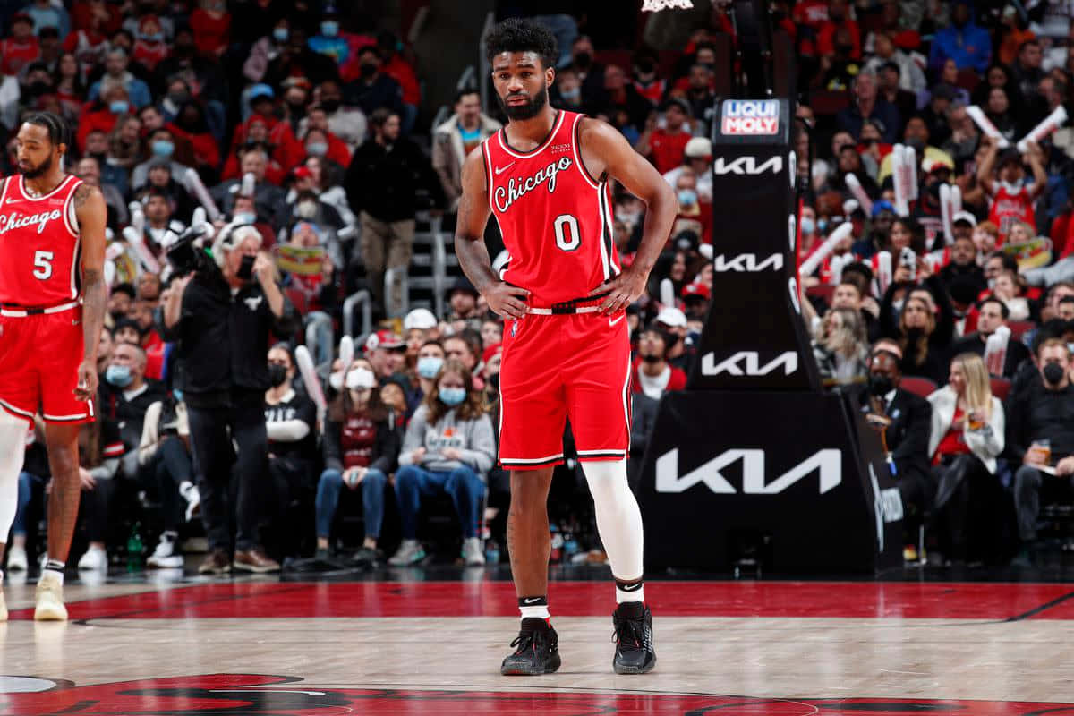 Coby White Chicago Bulls Court Stance Wallpaper