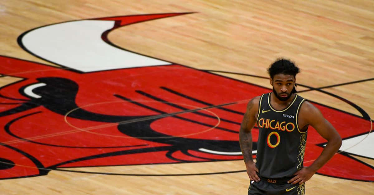 Coby White Chicago Bulls Court Wallpaper