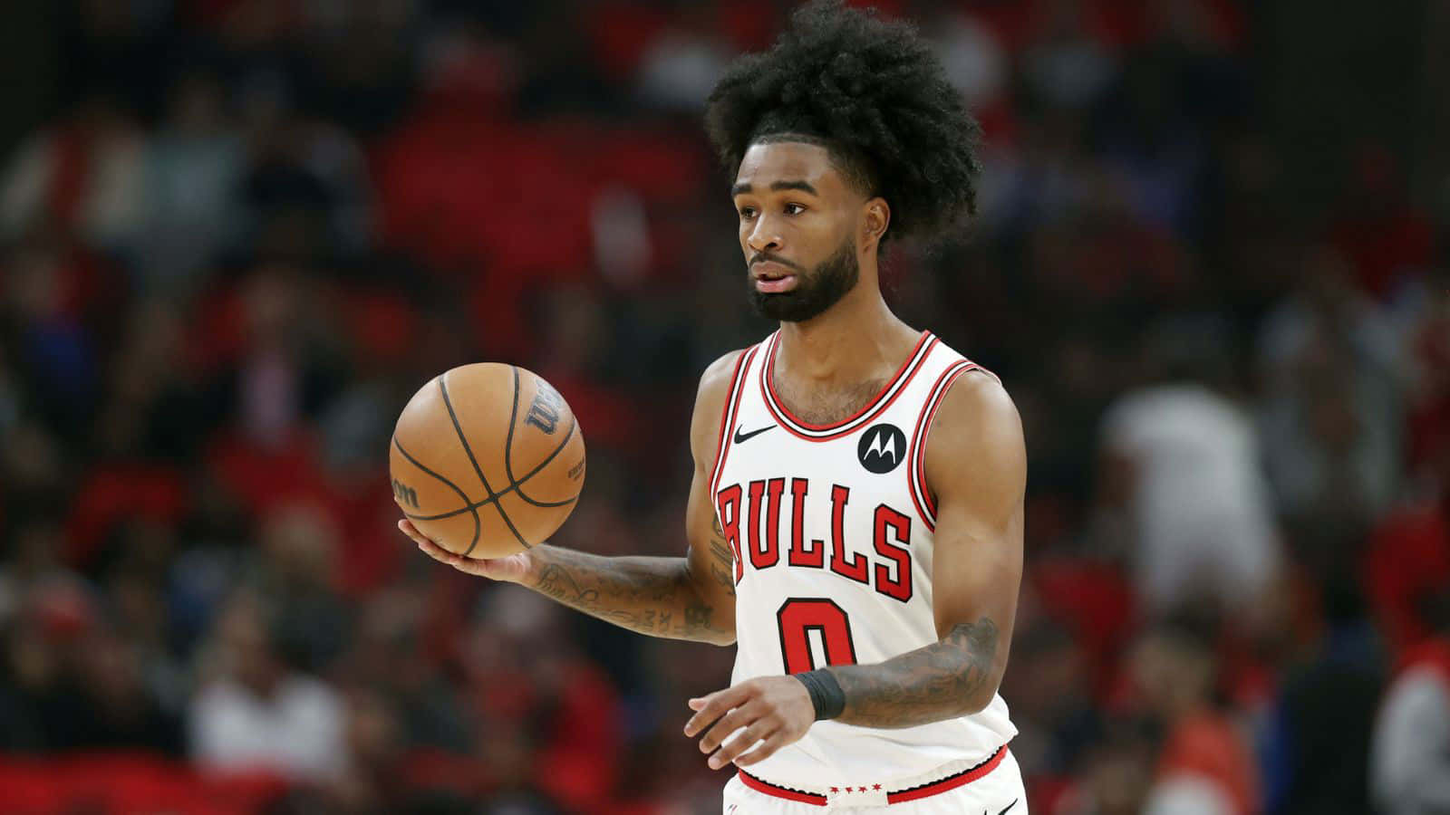 Coby White Chicago Bulls Gameplay Wallpaper